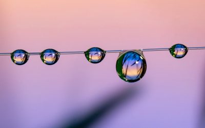 Ce qu&rsquo;il faut savoir sur…